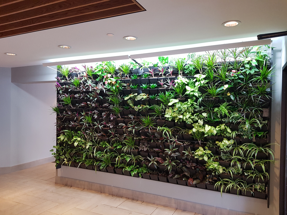 Living Walls - Greenery Office Interiors