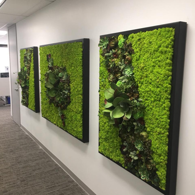 Moss Walls - Greenery Office Interiors